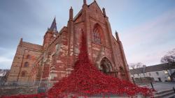 2016-11-14 # The Ulster Museum is to host an iconic poppy installation 2